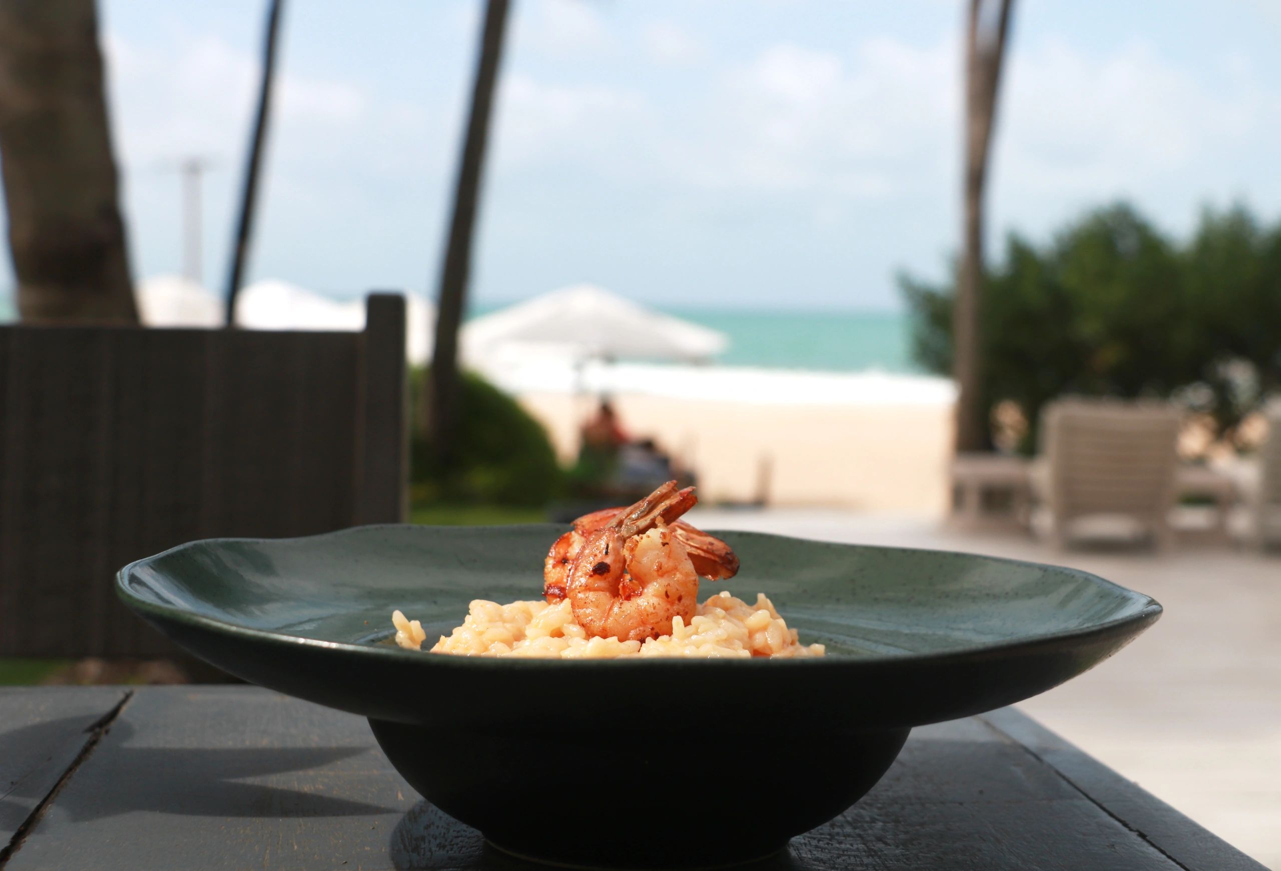Shrimp risotto served with an ocean view